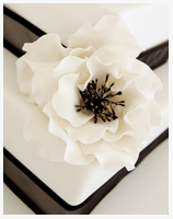 White Camellia Wedding cake Sydney